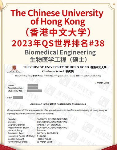 英国留学申请成功案例