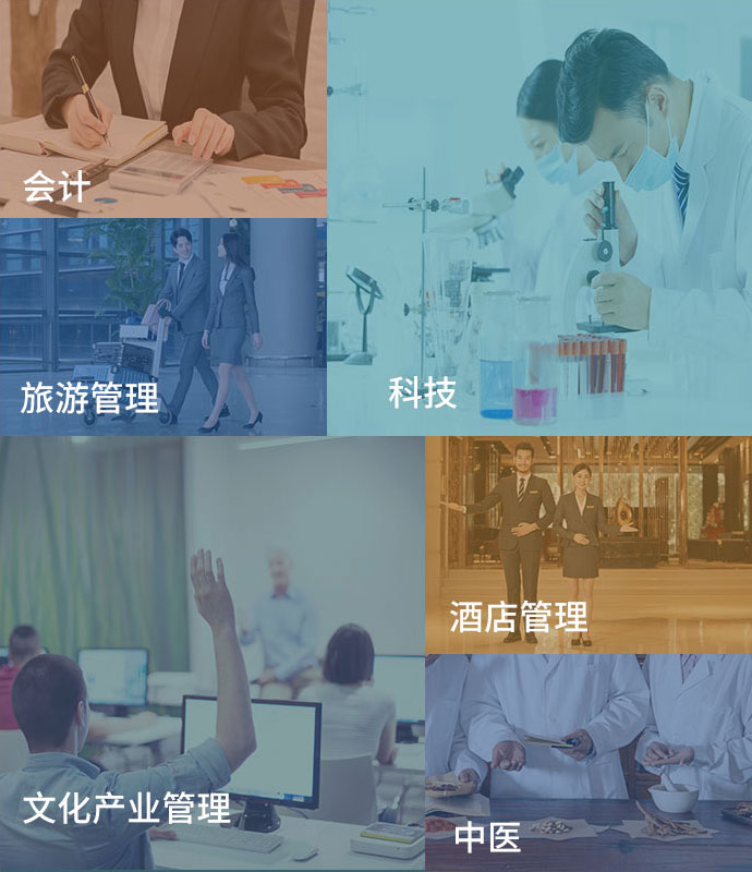 升学澳门哪些专业热门